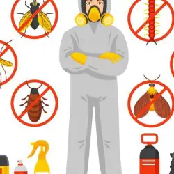 Pest Control and Sanitization - Image 1